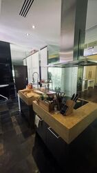 The Legend (D10), Condominium #613562461